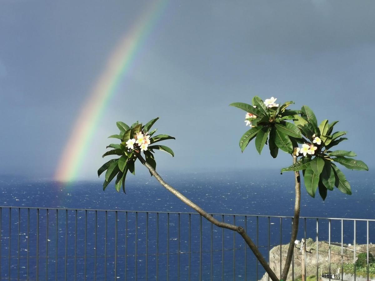 Casa Atlantico Tropischer Seitenfluegel Ribeira Brava Kültér fotó